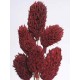 MAGNOLIA PODS Red 16"- OUT OF STOCK